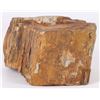 Image 2 : 7.3LB PETRIFIED WOOD MINERAL SPECIMEN