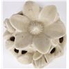Image 2 : VINTAGE ROOKWOOD IVORY WHITE WATER LILY 2979