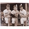 Image 18 : BASEBALL PHOTO MEMORABILIA - LOT OF 16