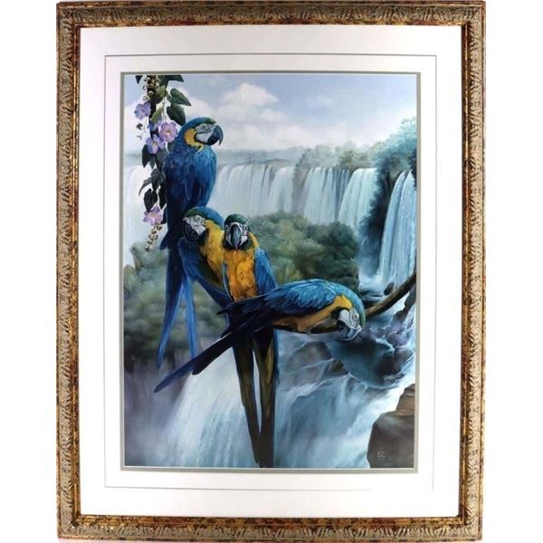"IGUAZU" BY GABRIEL EZCURRA 1994 PRINT FRAMED