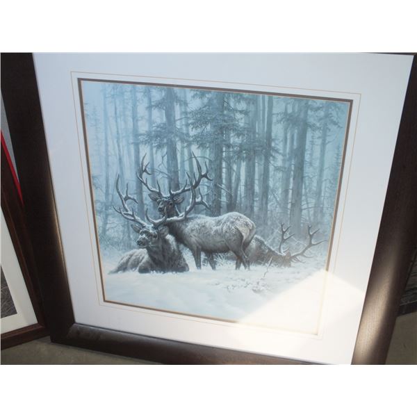 Elk Picture