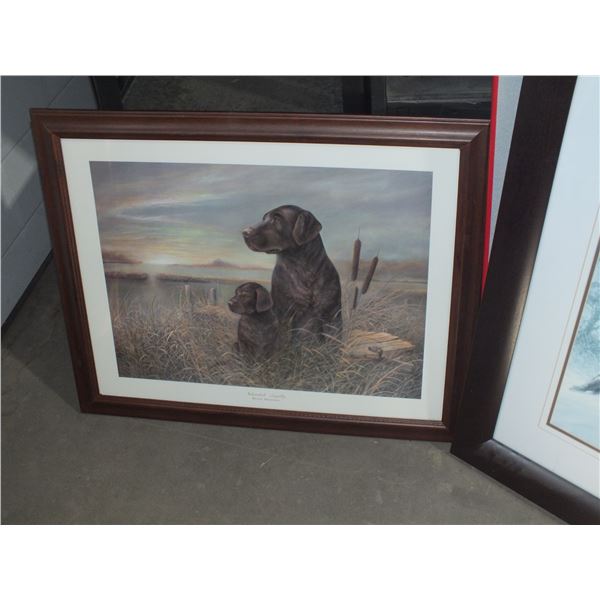 Dog Picture