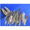 Image 1 : Bag of Pheasant and Assorted Feathers for Fly Tying