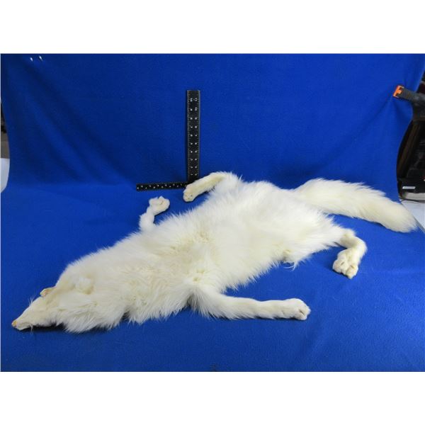 Arctic Fox Pelt - 44" Tip to Tail