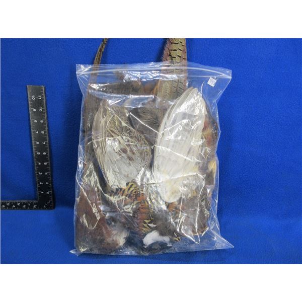 2 Pheasant Pelts for Fly Tying