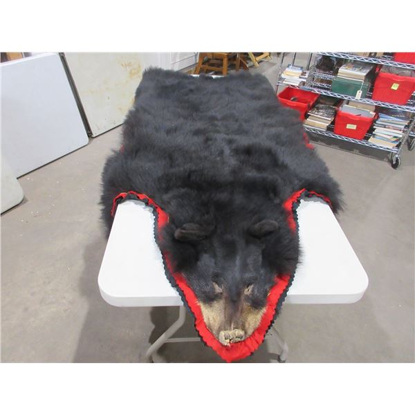 Black Bear Rug - No Skull - Tip to Tail 70"
