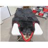 Image 1 : Black Bear Rug - No Skull - Tip to Tail 70"