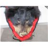 Image 2 : Black Bear Rug - No Skull - Tip to Tail 70"