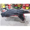 Image 3 : Black Bear Rug - No Skull - Tip to Tail 70"