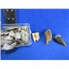 Image 1 : Lot of 21 Bear Claws and 2 Teeth
