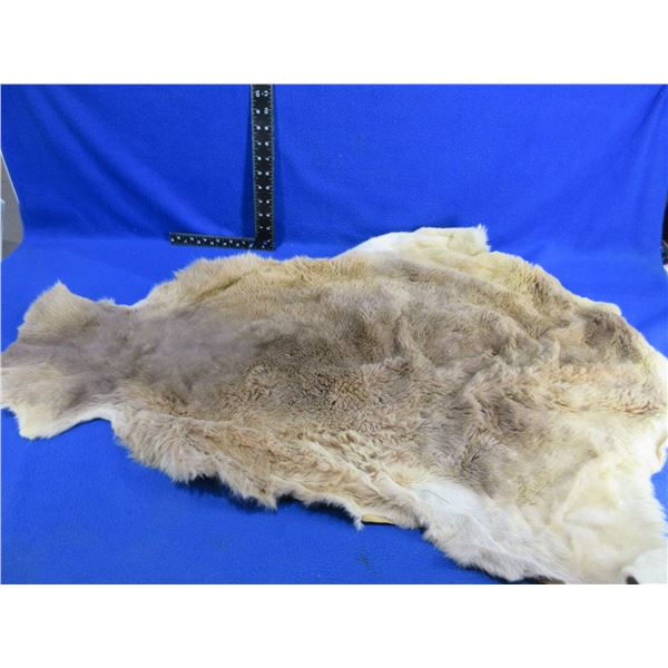 Unknown Fur Rug - 36' Tip to Tail, 32" Across (Widest Point)