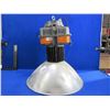 Image 1 : Industrial LED High Bay Light- 240 Vac, 100 Watt, 50/60 Hz