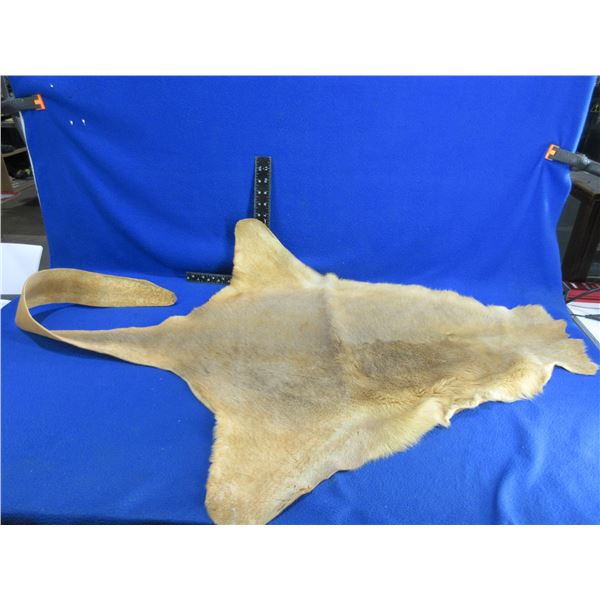 Kangaroo Fur Rug - Neck to Tail 57", Hind Legs 32" Across