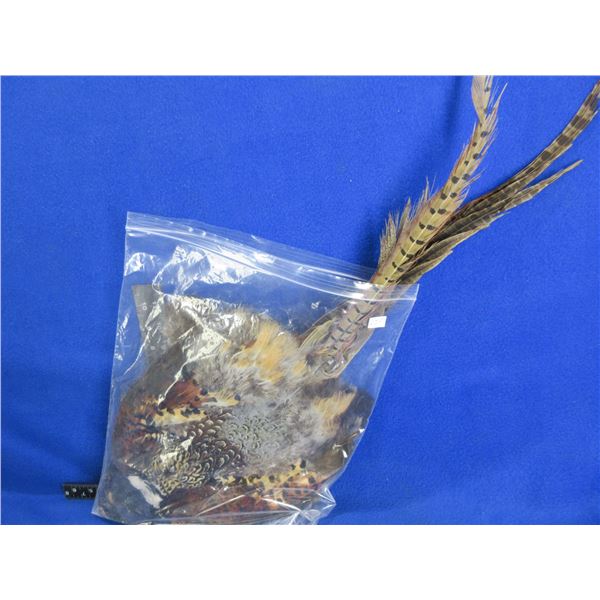 2 Pheasant Pelts for Fly Tying