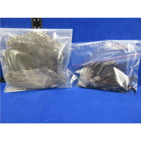 2 Bags of Assorted Feathers for Fly Tying