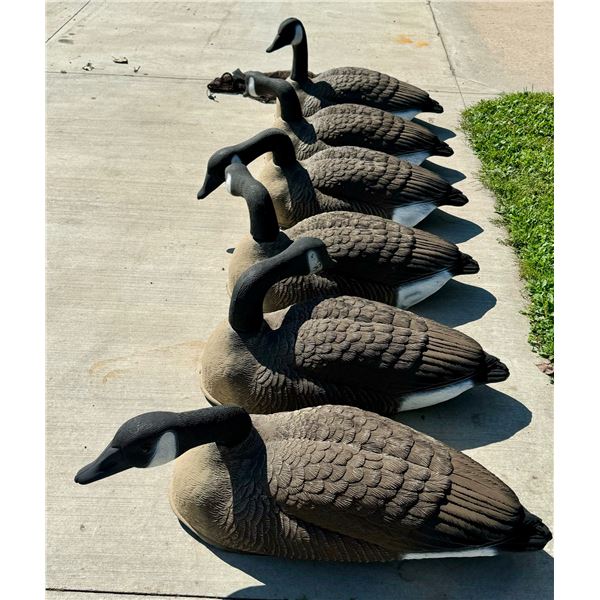 LARGE GEESE DECOYS, SET OF 6