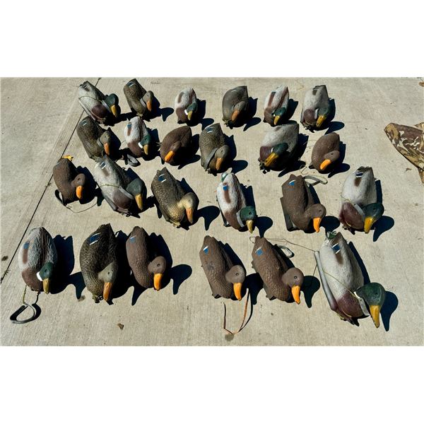 LOT OF DUCK DECOYS, LOT OF 24