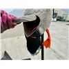 Image 4 : MOJO MALLARD BATTERY POWERED DUCK DECOY