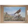 Image 2 : Framed limited edition print titled "Plains Hunter- Prairie Falcon" signed by artist John Seerey-Les