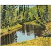 Image 2 : Framed original acrylic on board painting, of a wooded autumnal creek scene, signed by artist Crane 