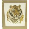 Image 1 : Matted and shrink-wrapped print by Guy Gohelech of tiger (3)