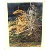 Image 1 : Signed and numbered print by Bev Doolittle "Prayer for the Wild Things" 54612/65000 (3)