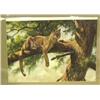 Image 1 : Print of a Mountain Lion (3)