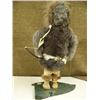 Image 4 : 15" whaled bone ivory faced doll with ivory hands, baleen bow and fox fur, ivory tipped knife and ar