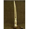 Image 5 : Outstanding 15" ivory eagle on whale bone base by Ukaghhani from Gambell (2)