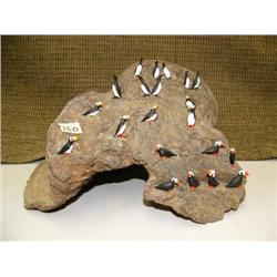 Puffin rookery possibly Al Mayac, with 21 birds #124C (2)