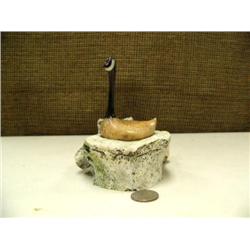 Whale bone and ivory Canadian goose on vertebrae nest with ivory egg by Aningayou 5" tall (2)