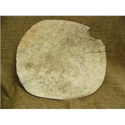 Whale bone Eskimo shovel (3)