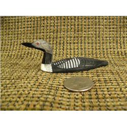 CHOICE on 3 Al Mayac birds: Arctic loon #749F (2)