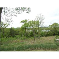 Lot 23, Cedar Reef Subdivision-ABSOLUTE!