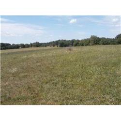 Hidden Meadows Rd., Kissee Mills, MO