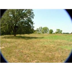 Country Nest Subdivision, Halfway, MO.