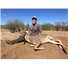 Image 5 : Mexican Coues Deer Hunt for 1 Hunter