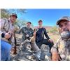 Image 7 : Mexican Coues Deer Hunt for 1 Hunter