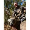 Image 1 : Missouri Archery/Crossbow Whitetail Hunt for 1 Hunter