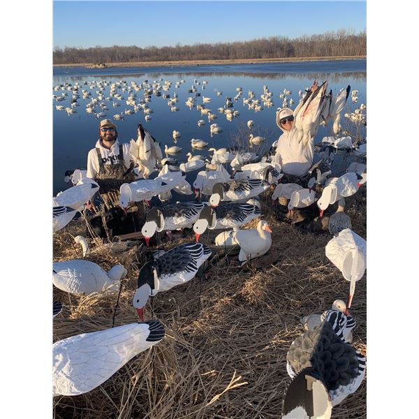 Missouri Pheasant Hunt with Snowgoose Option