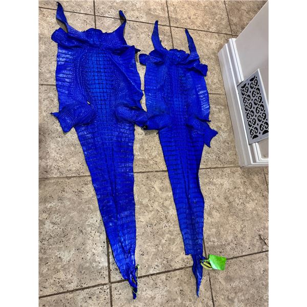 Pair of American Alligator Hides