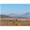 Image 4 : South African Female Cape Buffalo Hunt for 1 Hunter & 1 Observer