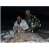 Image 5 : 7 Day Predator Hunt Donated by Coke Wallace and Midnight Sun Safaris