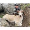 Image 3 : Alaska Resident Only - 2025 Fully Guided Dall Sheep in GMU 19C - Donated by R&R Hunting & Outdoor Ad