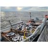 Image 2 : Bristol Bay Commercial Fishing Experience for 2 Donated by Alaska Skookum Guides