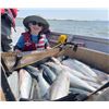 Image 4 : Bristol Bay Commercial Fishing Experience for 2 Donated by Alaska Skookum Guides
