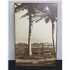 Image 1 : Large Vintage Photo Image "View from Old Plantation" Circa 1800's, Irving A. Jenkins, 33" x 48"