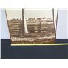 Image 9 : Large Vintage Photo Image "View from Old Plantation" Circa 1800's, Irving A. Jenkins, 33" x 48"