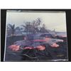Image 1 : Photographic Art, Lava, Omjalla Images, Signed by Artist G. Brad Lewis, Unframed