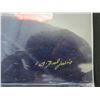 Image 2 : Photographic Art, Lava, Omjalla Images, Signed by Artist G. Brad Lewis, Unframed